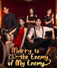 Marry to the enemy of my enemy ด้วยรักจากดวงตะวัน ซับไทย Ep.1-24